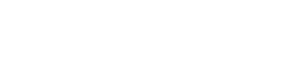 coIntelligence Academy
